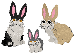 petz 5 rabbit